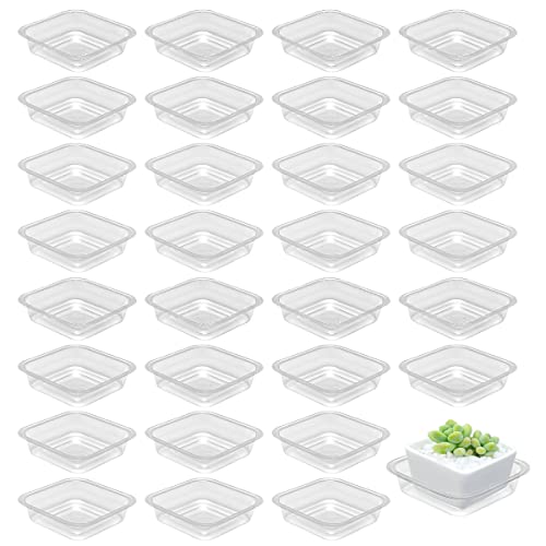 30 Pack Plant Saucers for Indoors 4 Inches Plant Trays for Pots Plastic Trays for Plants Square Plant Drip Trays for Potted Plants Flower Pot Saucers Clear Plant Plates to Catch Water, Bulk - size: 4 Inches