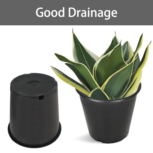 2 Gallon Plant Nursery Pot 10-Pack 2 Gallon Plastic Garden Planter Pots Flower Seedling Injection Molded Container Seed Starting Pot for Indoor Outdoor Plants Seedlings Vegetables Black - size: Standard 2 Gallon
