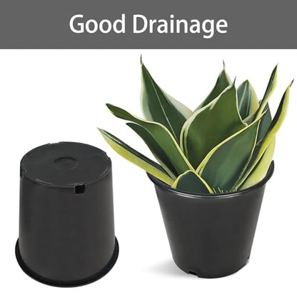 2 Gallon Plant Nursery Pot 10-Pack 2 Gallon Plastic Garden Planter Pots Flower Seedling Injection Molded Container Seed Starting Pot for Indoor Outdoor Plants Seedlings Vegetables Black - size: Standard 2 Gallon