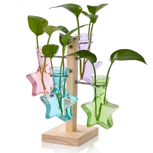 Nacome Plant Terrarium Propagation Stations: Colored Vase with Wooden Stand - color: Colored