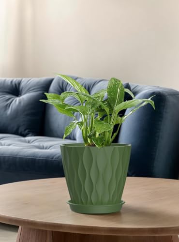 Set of 6 Plant Pots 4 inch Pots, Plastic Planters with Drainage Holes and Saucers,Plastic Flower Pots,Nursery Planting Pot for Indoor Out Door Plants（Multicolour） - color: Multicolour