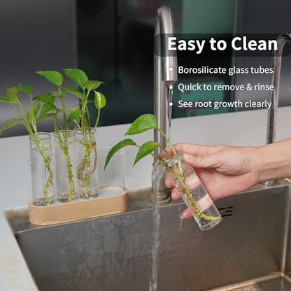 Plant Propagation Station with LED Grow Lights, 4 Glass Tubes & Oak Stand