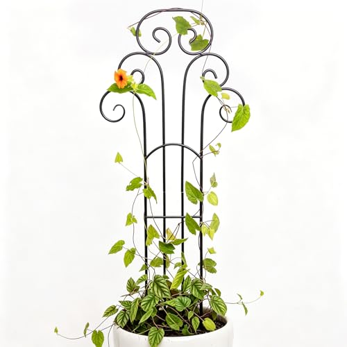 31 Inch Trellis for Potted Plants - Iron Support for Climbing Vines - size: 31"H