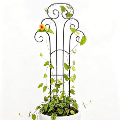 31 Inch Trellis for Potted Plants - Iron Support for Climbing Vines - size: 31"H