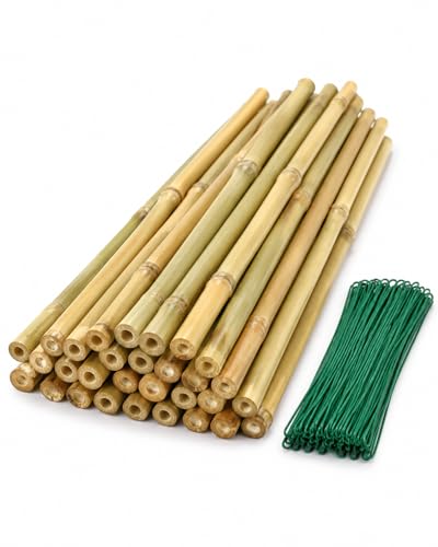 20 Pcs 16 inch Bamboo Garden Stakes with Ties Natural Bamboo Plant Stakes for Tomatoes (20pcs-16inch) - size: 20pcs-16inch