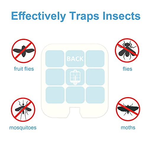 Dichroma Refills for Safer Home Indoor Fly Trap & Dynatrap DT3005W, 12 Pack - style: 12 Pack