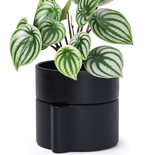 Phoenix Vine 6.5 Inch Self-Watering Planter Pot with Terracotta Insert, Deep Water Reservoir, and Ceramic-Alike BPA-Free Plastic Planter Pot for Plant, Modern Planter for Houseplants, Black, 53-A-S-2 - color: Black, size: 6.5 Inch