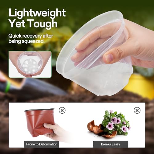VIVOSUN 40 Packs 3/4/5/6 Inch Clear Nursery Pots with Drainage Holes - size: 3/4/5/6 Inch