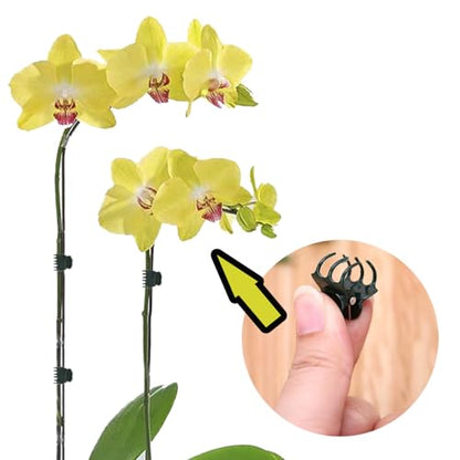Plant Clips for Support Orchid Support Clips Flower Vine Garden Clip for Climbing Plants Orchid Clip for Supporting Stems Vine Stalks Grow Upright 30pcs