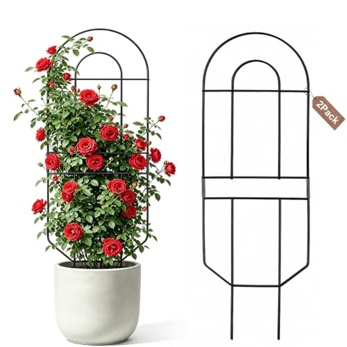 Metal Trellis for Potted Plants 30 Inch，Tall Plant Support for Indoor & Outdoor Use Modern Decorative Garden Trellis for Climbing Plants, 2 Pack - size: 30 Inch 2 pack