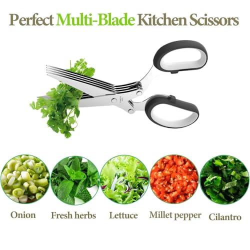2026 Upgraded Herb Scissors, 5-Blade Kitchen Herb Shears - color: Black