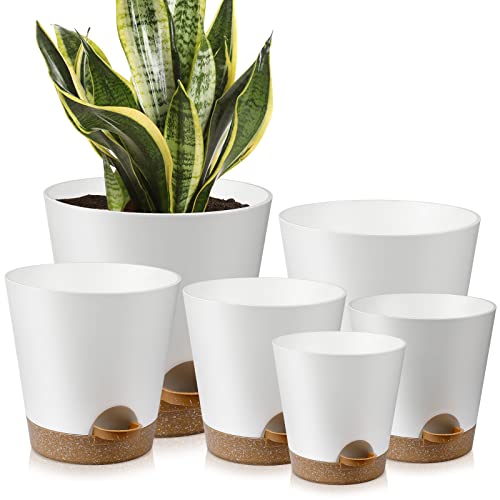 YNNICO Indoor Self Watering Planters with Drainage Holes and Saucers, 8, 7, 6.5, 6, 5.5, 5 Inches, White, 6 Pots - color: White, size: 8+7+6.5+6+5.5+5 inch