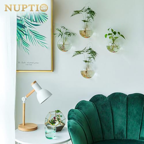 NUPTIO Glass Wall Hanging Planters: Propagation Station for Plants, 4 Pcs - size: 4 Pcs