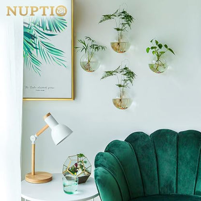 NUPTIO Glass Wall Hanging Planters: Propagation Station for Plants, 4 Pcs - size: 4 Pcs
