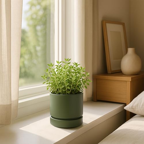 Phoenix Vine 4 Inch Planter Pot with Drainage Hole & Saucer, Deep Water Catch Tray, Straight Cylindrical Round Pot for Plants, Olive, Pack of 1, 23-D-R-1 - color: Olive, size: 4" (1 Pack)