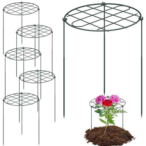 6 Pack 16 x 24 Inch Peony Cages and Supports for Outdoor Plants - size: 6pack/16 x 24 inch