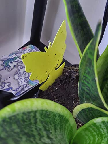 Faicuk Dual-Sided Yellow Sticky Fly Traps for Plant, 20 Pack