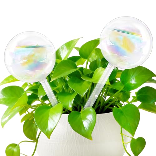 Pynqdfu 2 Pcs Plant Watering Globes,Colorful Rainbow Gradient Glass Watering Devices,Self Watering Planter Insert Plant Accessories for Indoor Outdoor,Home Garden,Flowerpot,Hanging Plants - size: 2PCS 20CM