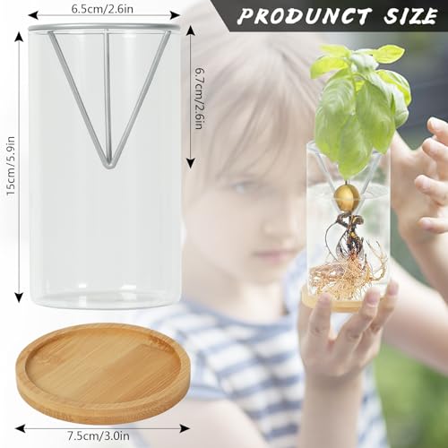 Bylion 2 Pack Avocado Growing Kits Avocado Seed Starter - color: Silver