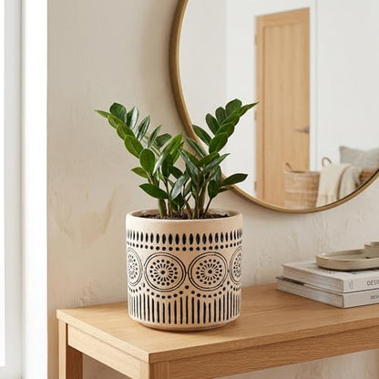 Ceramic 5 Inch Succulent Plant Pot Small Flower Planter - color: Pattern