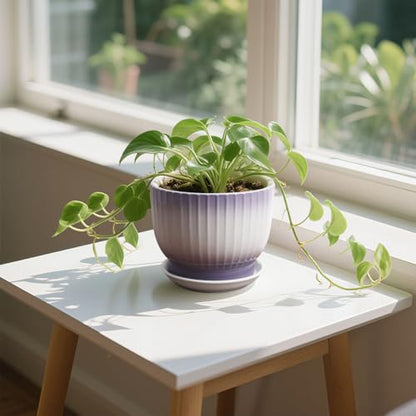 Ceramic Plant Pots, Purple + White, 6.7 + 5.5 Inch, Set of 2 - color: Purple + White