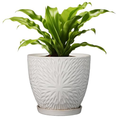G EPGardening 8 Inch Ceramic Plant Pot with Drainage Hole and Saucer, White