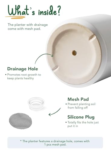 LE TAUCI 12 Inch Pot for Plants, Ceramic Indoor Planter, White - color: White