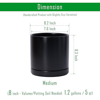 D'vine Dev 8.2 Inch Ceramic Planter Pot, Black, 94-O-D-2 - color: Black, size: Medium