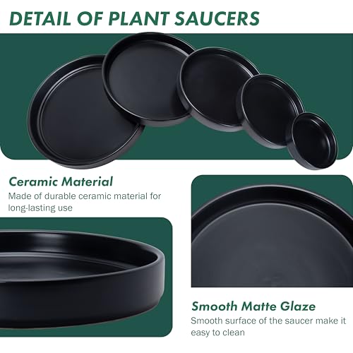 D'vine Dev Ceramic Plant Saucer/Drainage Tray, 8.7 in, Black, 97-T-B-4 - color: Black, size: 8.7" (1 Pack)