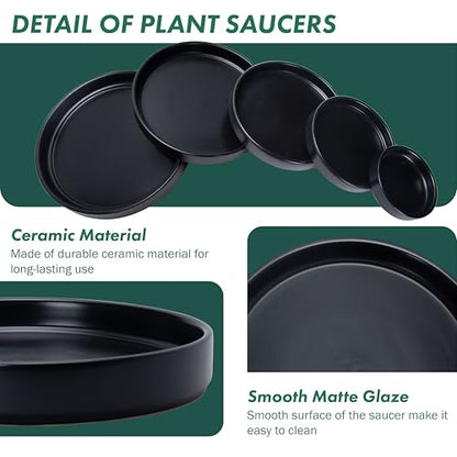 D'vine Dev Ceramic Plant Saucer/Drainage Tray, 8.7 in, Black, 97-T-B-4 - color: Black, size: 8.7" (1 Pack)