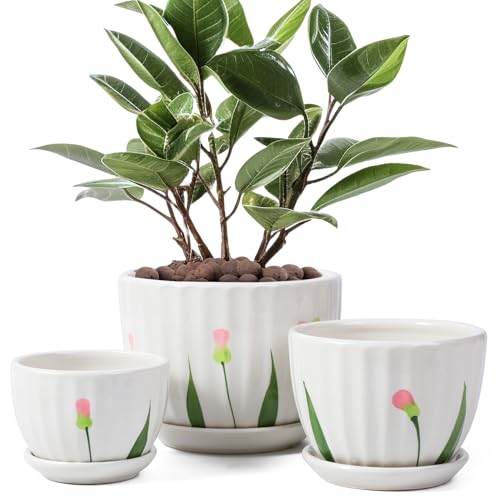 Ceramic Plant Pots with Saucers, Round White Flower Pots for Indoor Plant - color: White Floral-standard Size