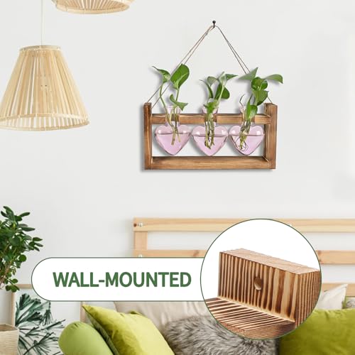 Plant Terrarium Propagation Stations Hydroponics - color: Pink