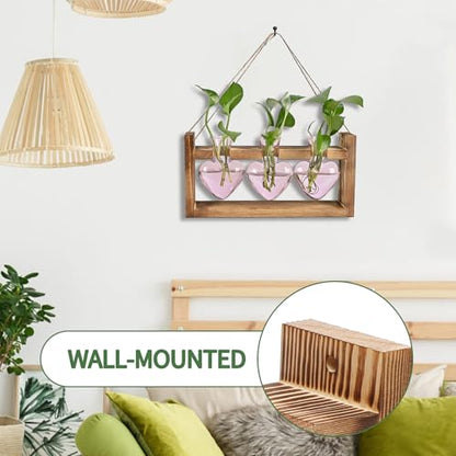 Plant Terrarium Propagation Stations Hydroponics - color: Pink