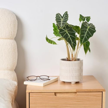STHIE 5 Inch Ceramic Planters for Indoor Plants, White Snake Plant Pots - color: Reactive Glaze White