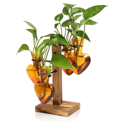 Plant Terrarium Propagation Stations with Wooden Stand - color: Arbor