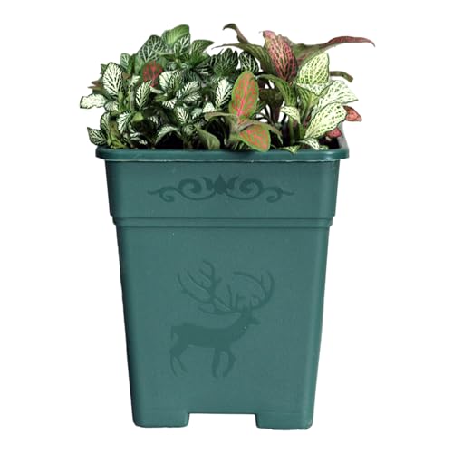 Wholesale Square Nursery Pot 0.5 Gallon Plastic Planters for Outdoor Indoor Plants 30-Pack with Drainage Holes Green - color: Green, size: 30-Pack 0.5 Gal Square