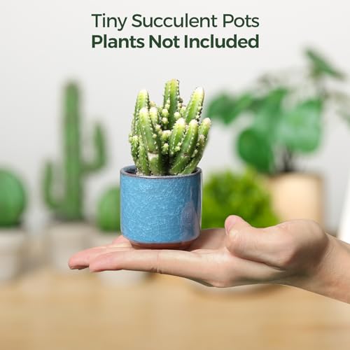 T4U Mini Succulent Pots, Small Ceramic Planters, Retro Gift Set of 6 - size: 2.4"*2.4"