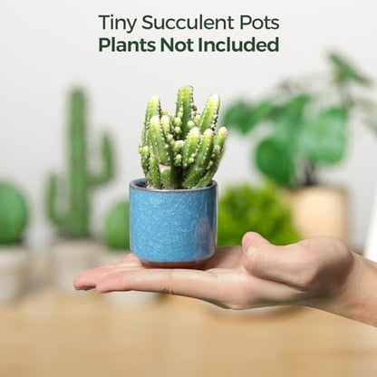 T4U Mini Succulent Pots, Small Ceramic Planters, Retro Gift Set of 6 - size: 2.4"*2.4"