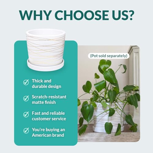 Willowy 2 Pack 9 Inch Matte White Ceramic Plant Drainage Trays, Indoor Use - color: Matte White, size: 9" (2 Pack)