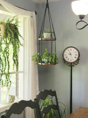 2-Tier Plant Hanger Indoor, Hanging Plant Shelf (12") - color: Black, size: 1-Pack, 2-Tier