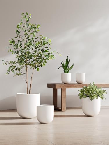 LE TAUCI 8 Inch Ceramic Plant Pot, Indoor Planter, White - color: White, size: 8“