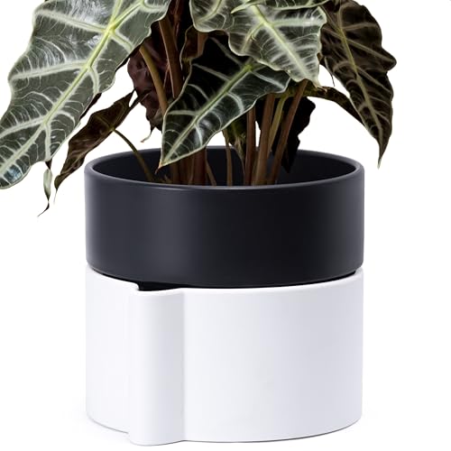 8 Inch Self-Watering Planter Pot with Terracotta Insert, Deep Water Reservoir, and Ceramic-Alike BPA-Free Plastic Planter Pot for Plant, Modern Planter for Houseplants, White/Black, 53-B-T-4 - color: White/Black, size: 8 Inch