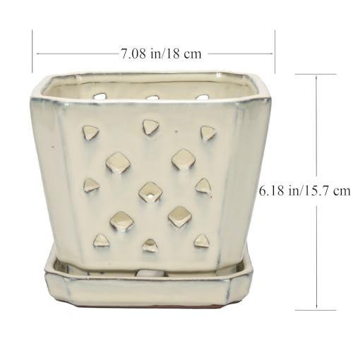 W&W Orchid Pot with Holes and Saucer for Repotting and Better Grow, Cream White, 7" - color: Cream White