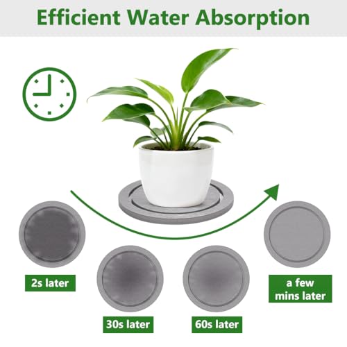 6" Dry Diatomite Stone Plant Saucer & Tray - 2 Pack, Light Gray - color: Light Gray, size: 6" (2 Pack)