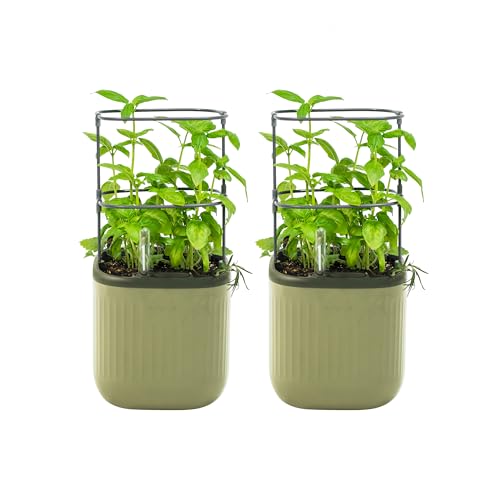 Vego garden Mini Planter Indoor Pots with Trellis Self-Watering Herb Countertop Planter for Climbing Vegetables Flowers Mint Plants Cage 2 Pack - Sage Green - color: Sage Green, size: Twin Pack