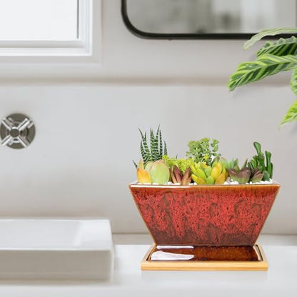 ARTKETTY Succulent Pots - 7 Inch Large Plant Pots with Drainage Tray - color: Red With Tray