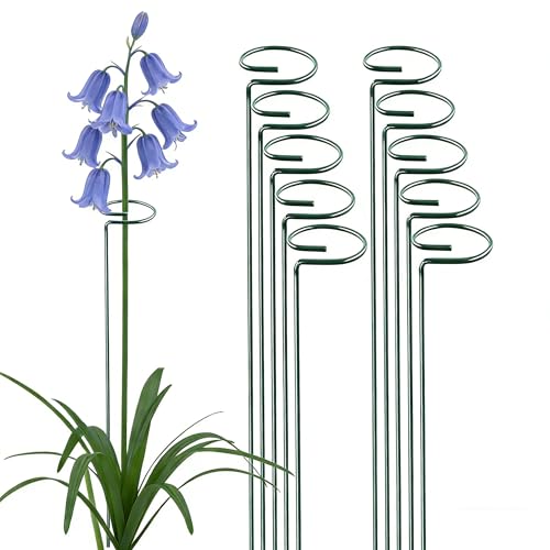 10 Pieces 36 inch Green Single Stem Plant Stakes Flower Support Rings,Gardening Planter Cages for Single Stem Flowers, Amaryllis,Peony, Lily,Narcissus - color: Green-36-inch 10pack