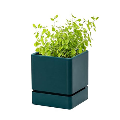 D'vine Dev Plastic Herb Planter Pot, 4 in, Green, 76-Y-C-1 - color: Green, size: 4 Inch x 4.5 Inch