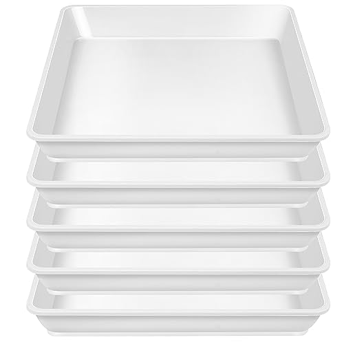 LWALRS 5 Pack Square Plant Saucer 12 Inch, Plastic Plant Water Dray Tray, Flower Pot Saucers, Square Planters for Indoors and Outdoors，Plants Saucer for Plant Pots. - color: White, size: 12"(5 pack)