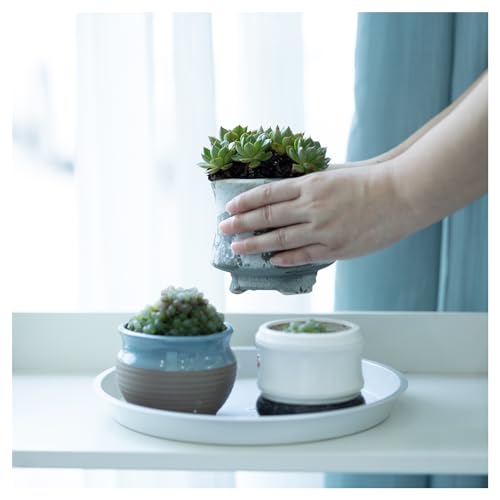 4 Pack 10 Inch White Plant Saucers Plastic Drip Trays for Pots - color: White, size: 10 Inch